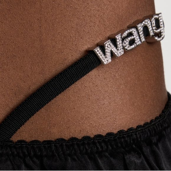 NEW Alexander Wang Crystal Thong Silk Wide Leg Pants Size S Women NWOT - Picture 6 of 9